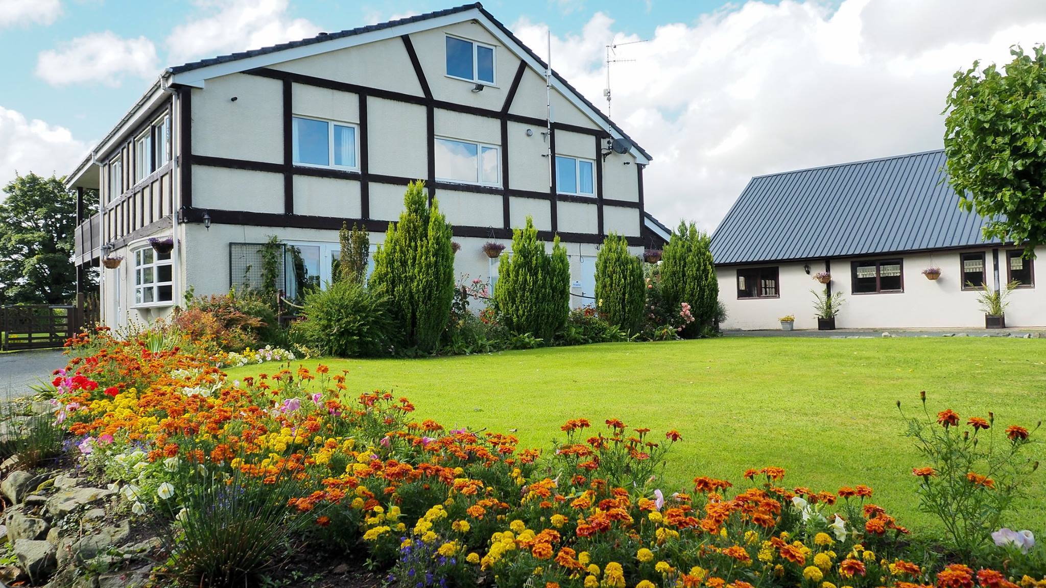 Llwyn-Celyn-Caravan-Park7