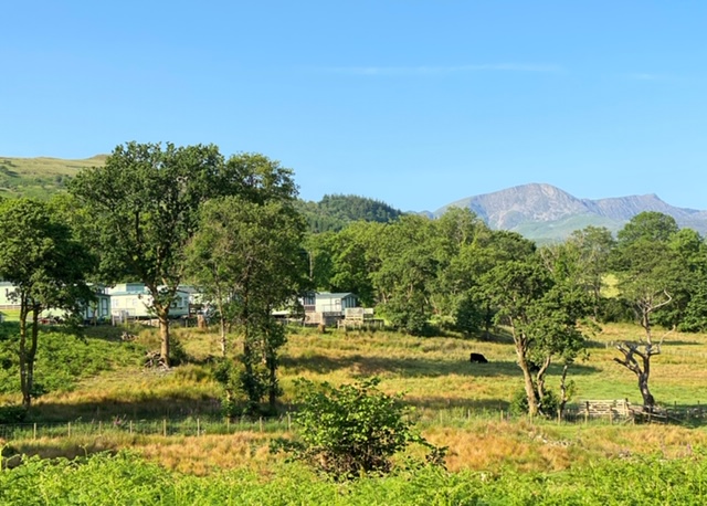 Llwyn yr Helm Caravan & Camping Park (1)