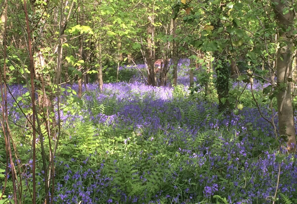 The Coppice Leisure Park (5)
